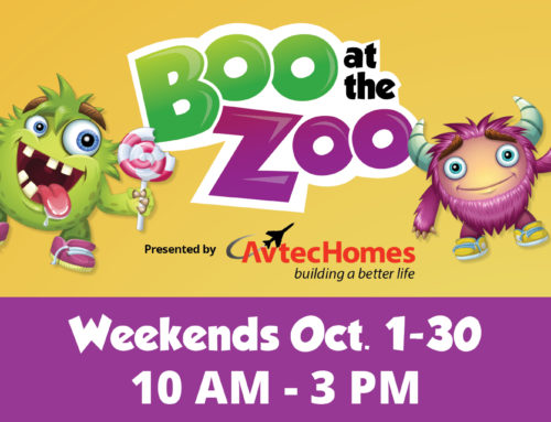 Boo at the Zoo Presented by Avtec Homes